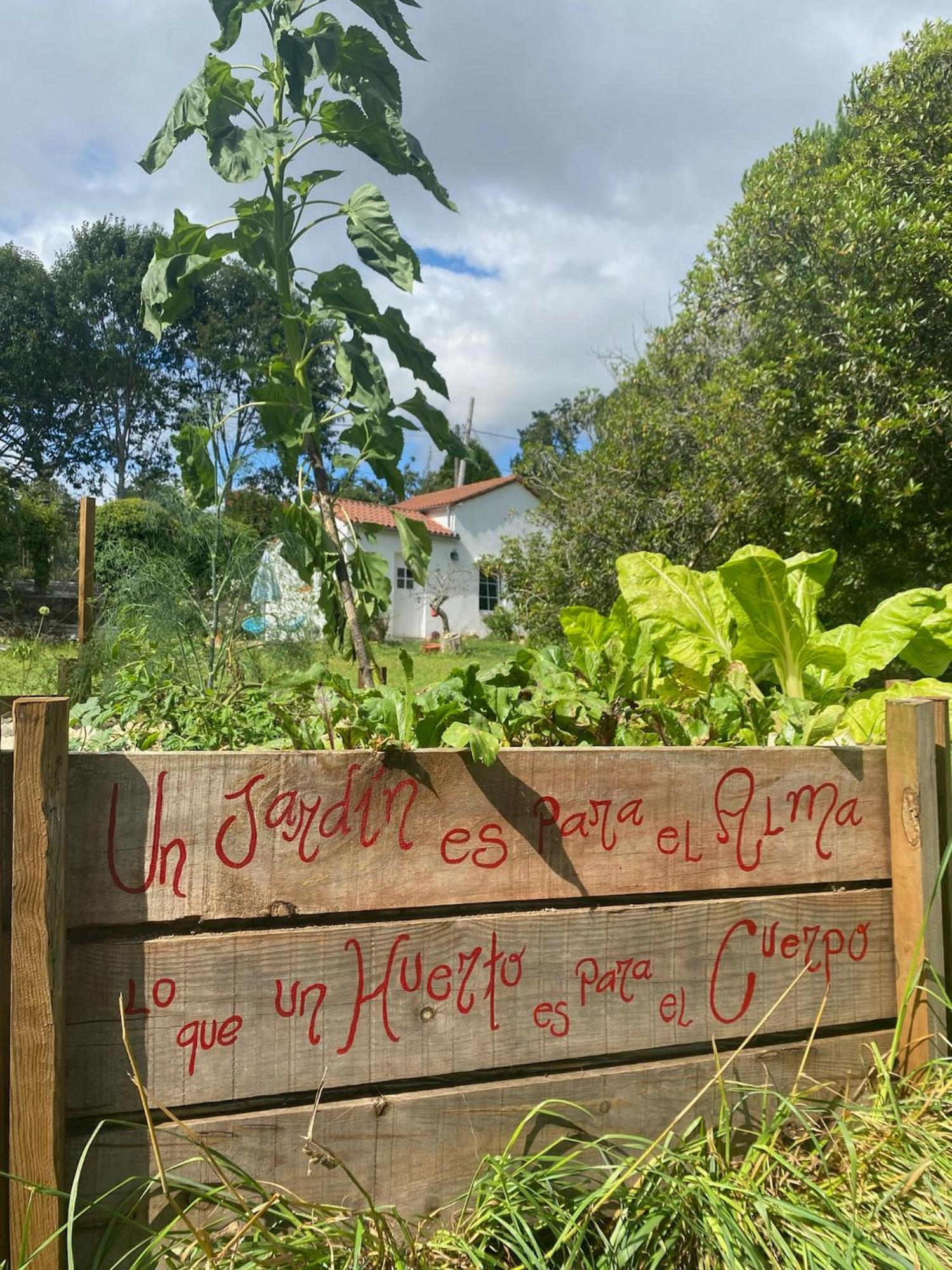 Bed and Breakfast Casa Sanando Covas  Esterno foto